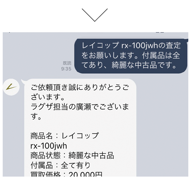 17931円 人気上昇中 レイコップ ROK-100JWH 並行輸入品
